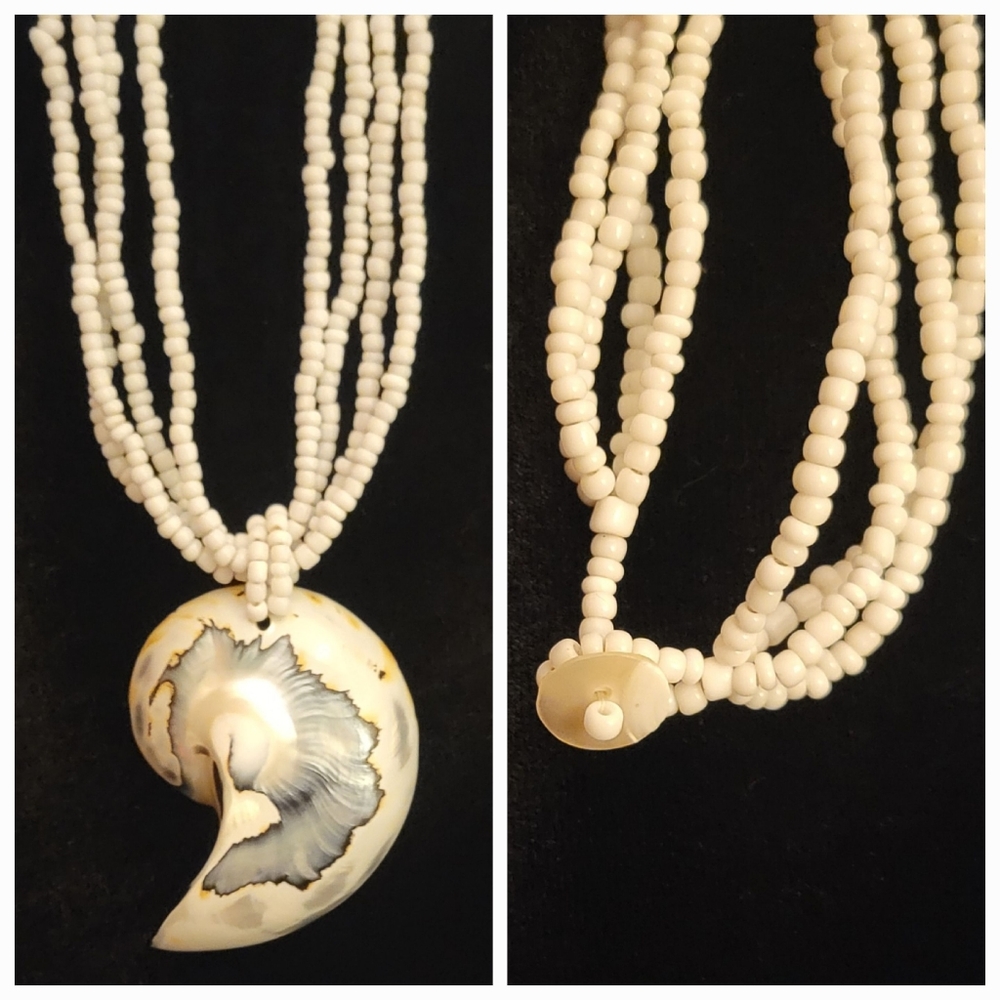 Half Cut Nautilus Shell Necklace